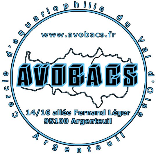 (c) Avobacs.fr