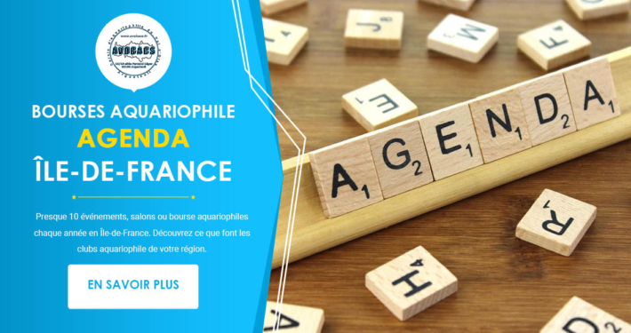 Agenda des Bourses Aquariophiles en Ile-de-France