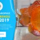 Compte Rendu du Salon Aquariophile de Novembre 2019