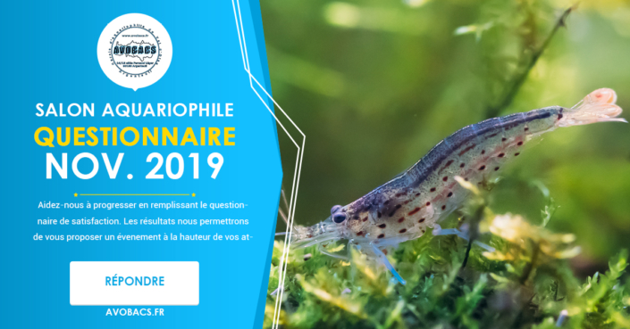 Questionnaire satisfaction – Salon Aquariophile AVOBACS Novembre 2019 Questionnaire satisfaction - Salon Aquariophile AVOBACS Novembre 2019