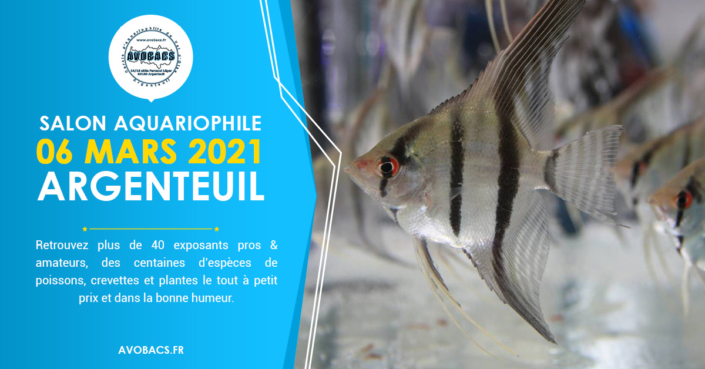 Bourse Aquariophile, le 06 Mars 2021 à Argenteuil (95). Bourse Aquariophile, le 06 Mars 2021 à Argenteuil (95).