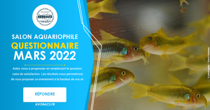 Questionnaire satisfaction - Salon Aquariophile AVOBACS Mars 2022