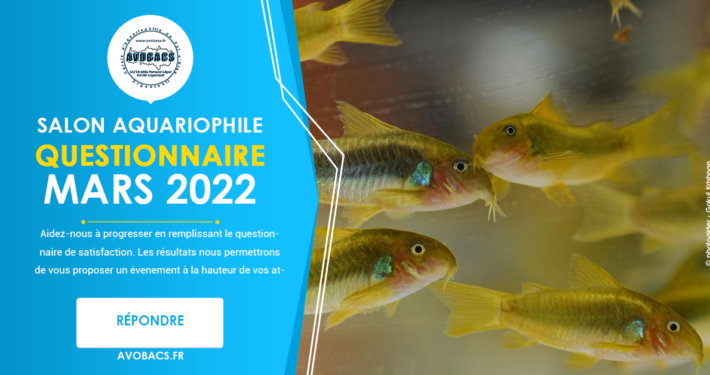 Questionnaire satisfaction - Salon Aquariophile AVOBACS Mars 2022