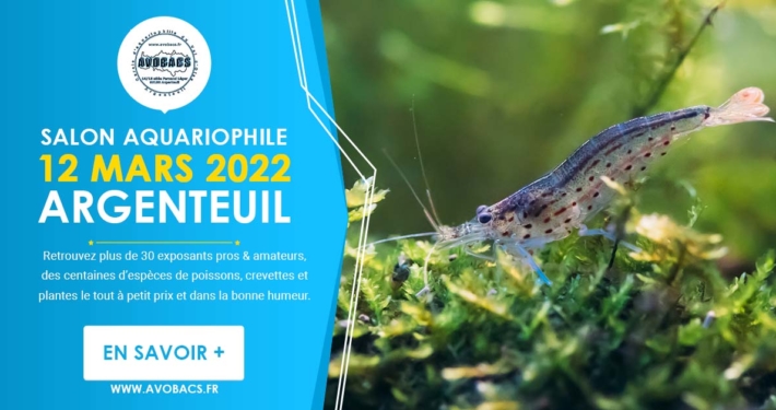 Bourse Aquariophile, le 12 mars 2022 à Argenteuil (95).
