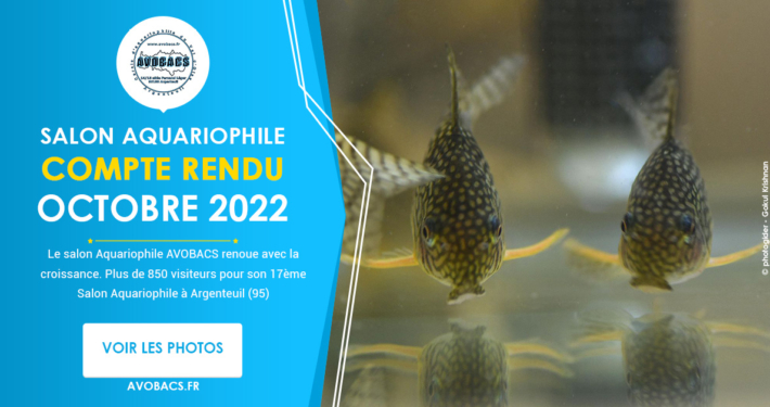 Salon Aquariophile - Octobre 2022