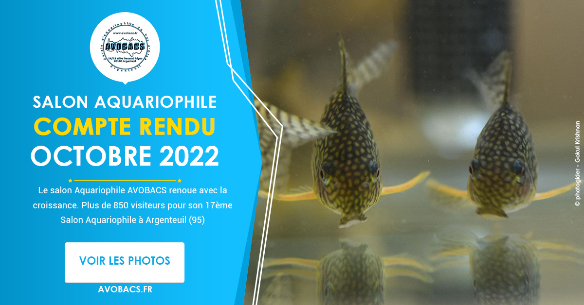 Salon Aquariophile - Octobre 2022