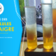 Anguillules du vinaigre