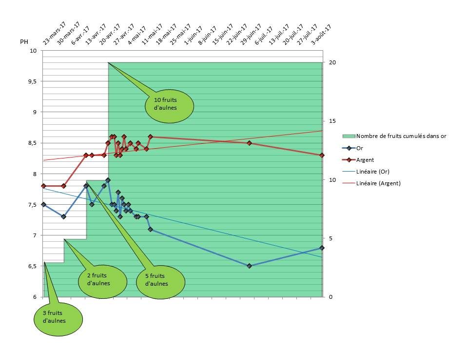 Graphique : Evolution du PH en fonction du nombre de fruits d'aulnes dans les bacs