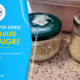 Culture HD (Hyper Dense) de l'anguillules du vinaigre