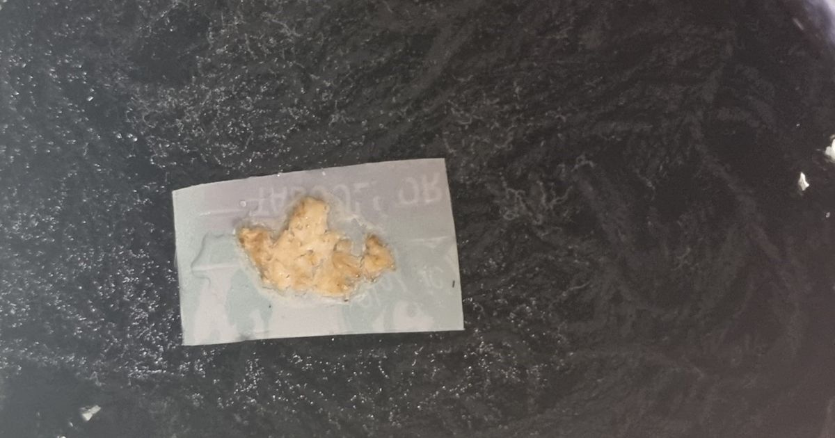 Nourriture des vers Grindals