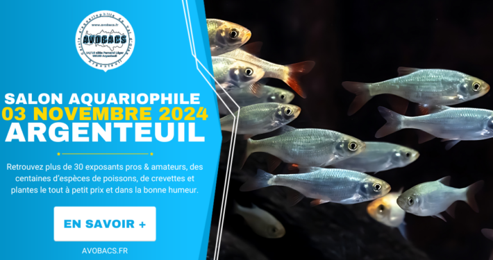 Salon Aquariophile 3 Novembre 2024