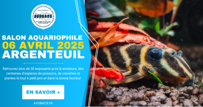 Salon Aquariophile 6 Avril 2025