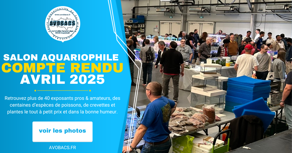 cr-salon-aquariophile-avril-2025