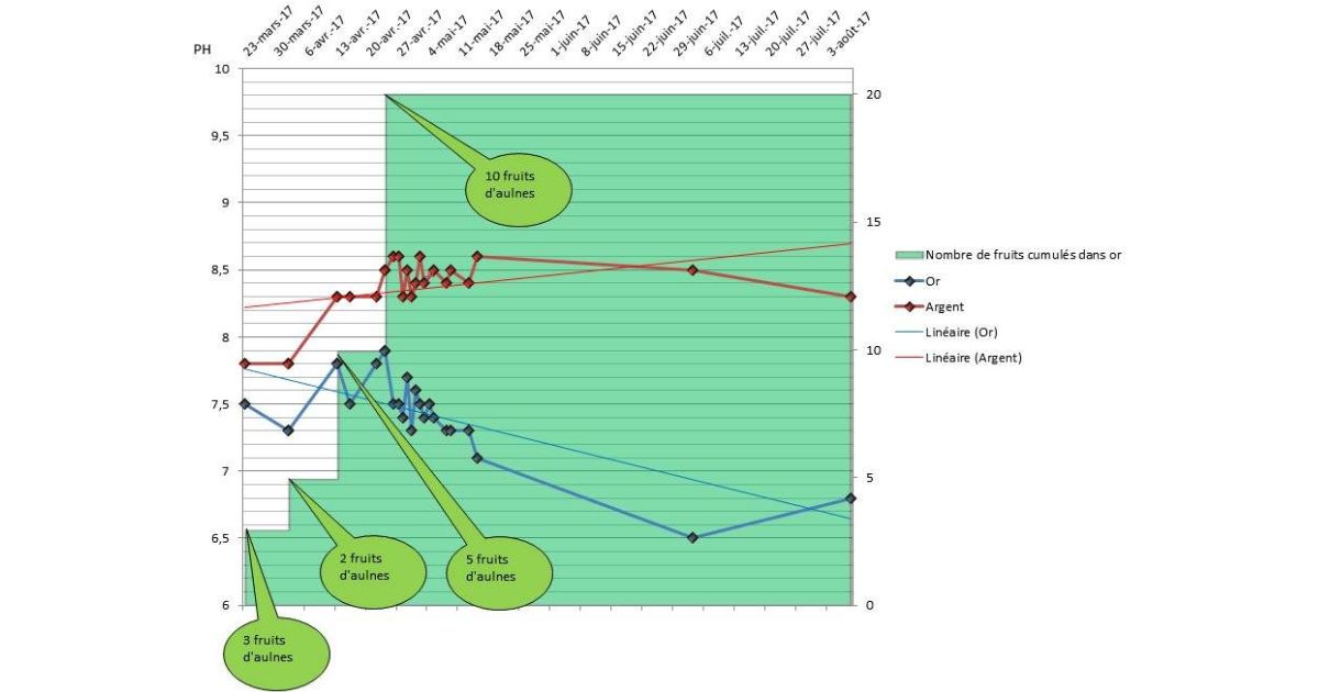 Graphique : Evolution du PH en fonction du nombre de fruits d'aulnes dans les bacs