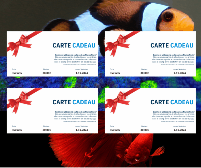 202511-tombola-lot-masterfisch