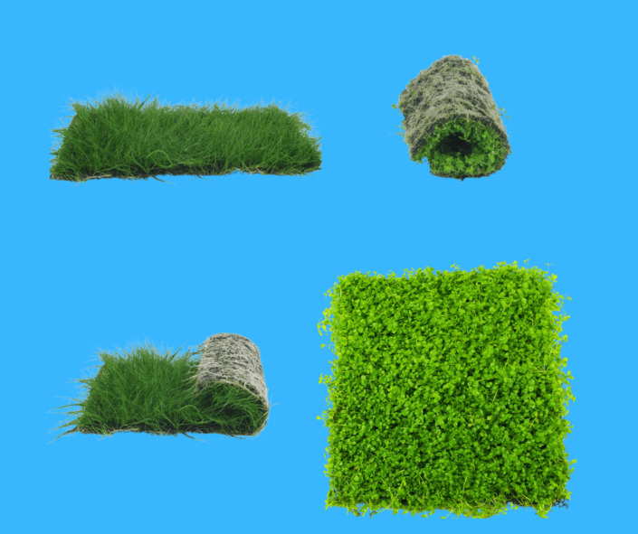 202511-tombola-lot-songrow