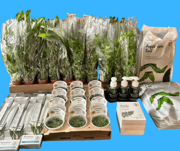 202511-tombola-lot-tropica