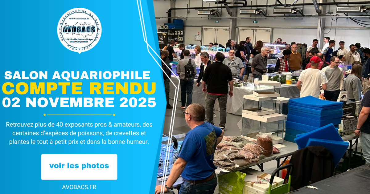 cr-salon-aquariophile-novembre-2025 (1)