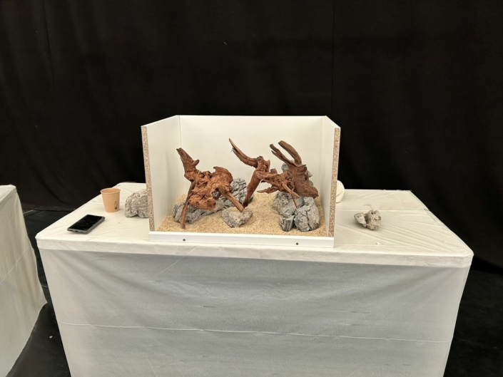 salon-aquariophile-tombola-novembre-2025-112