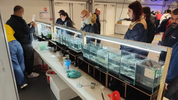 salon-aquariophile-tombola-novembre-2025-134