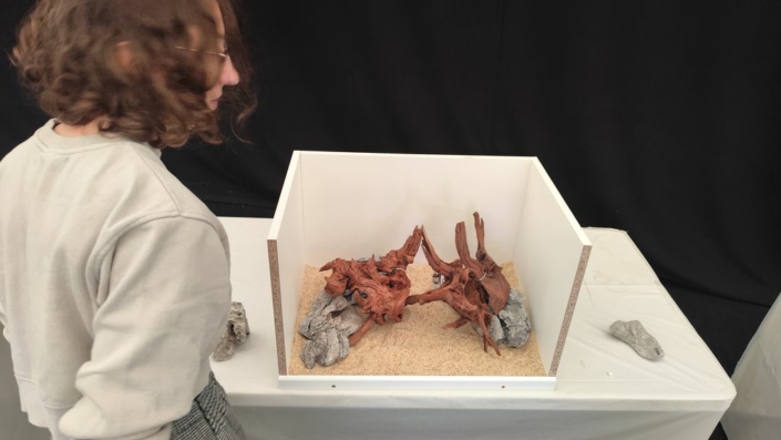 salon-aquariophile-tombola-novembre-2025-175