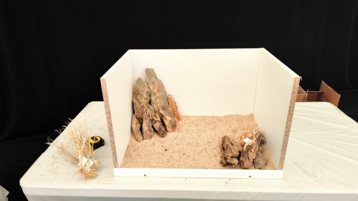 salon-aquariophile-tombola-novembre-2025-181