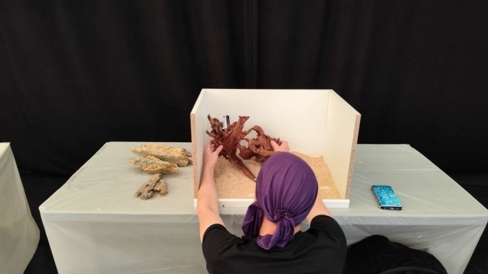 salon-aquariophile-tombola-novembre-2025-187