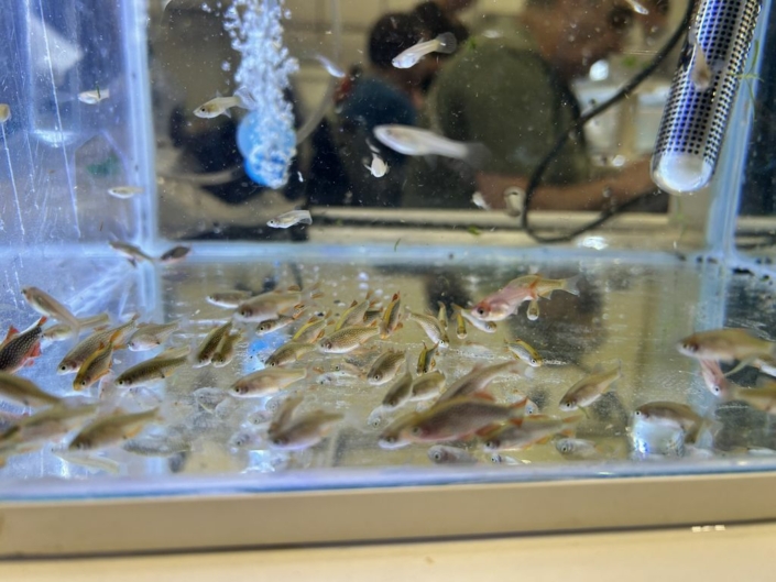 salon-aquariophile-tombola-novembre-2025-21