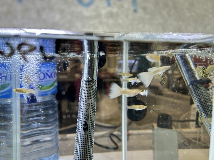 salon-aquariophile-tombola-novembre-2025-29