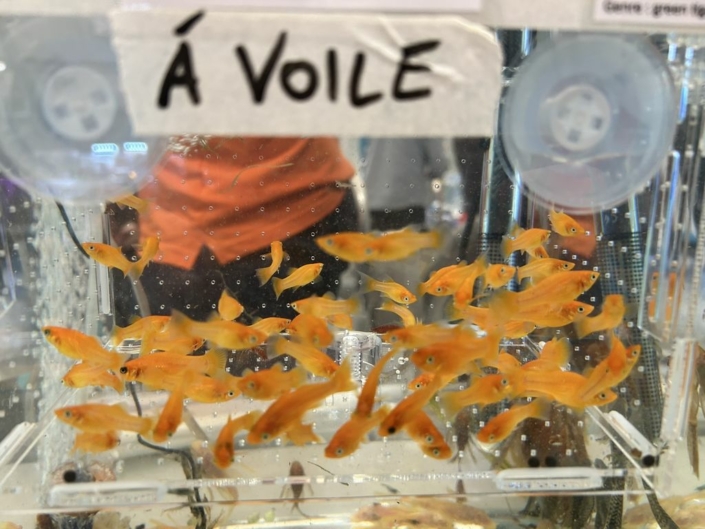 salon-aquariophile-tombola-novembre-2025-32